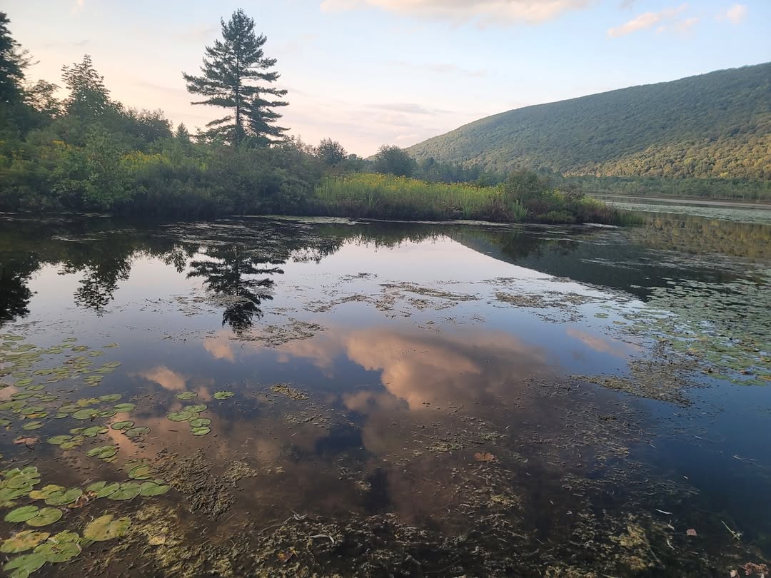 Reflecting on Reflection